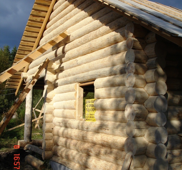 производство деревянных домов
